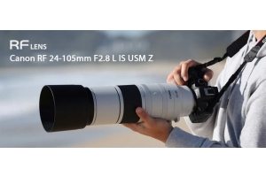 Das Canon RF 200-800mm F6.3-9 IS USM-Objektiv