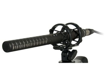 Rode NTG-4+