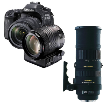 Kameraset von Canon mieten für eine Safari