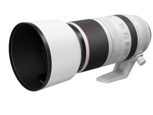 Canon RF 100-500mm F4.5-7.1 L IS USM mieten bei lensrent schweiz