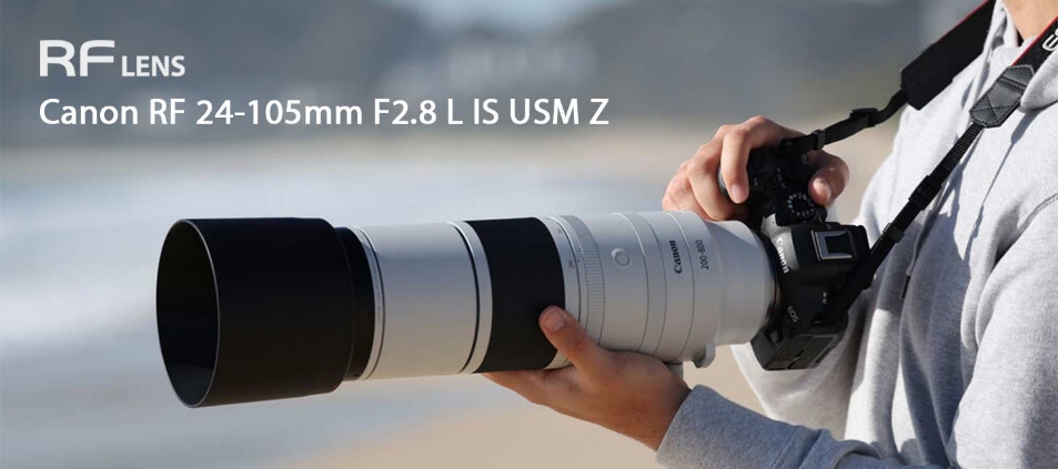 Das Canon RF 200-800mm F6.3-9 IS USM-Objektiv