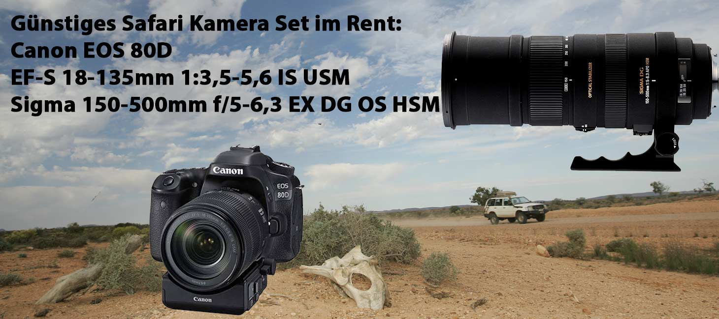 Canon Kamera Set für Safari mieten inklusiv super Tele für die Tierfotografie auf Safari